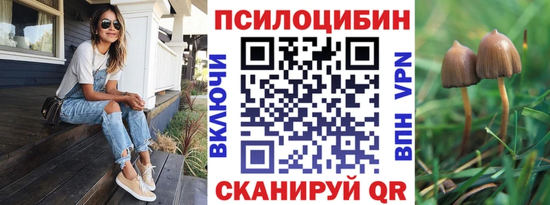 купить наркоту  Красноармейск  Галлюциногенные грибы Magic Shrooms 
